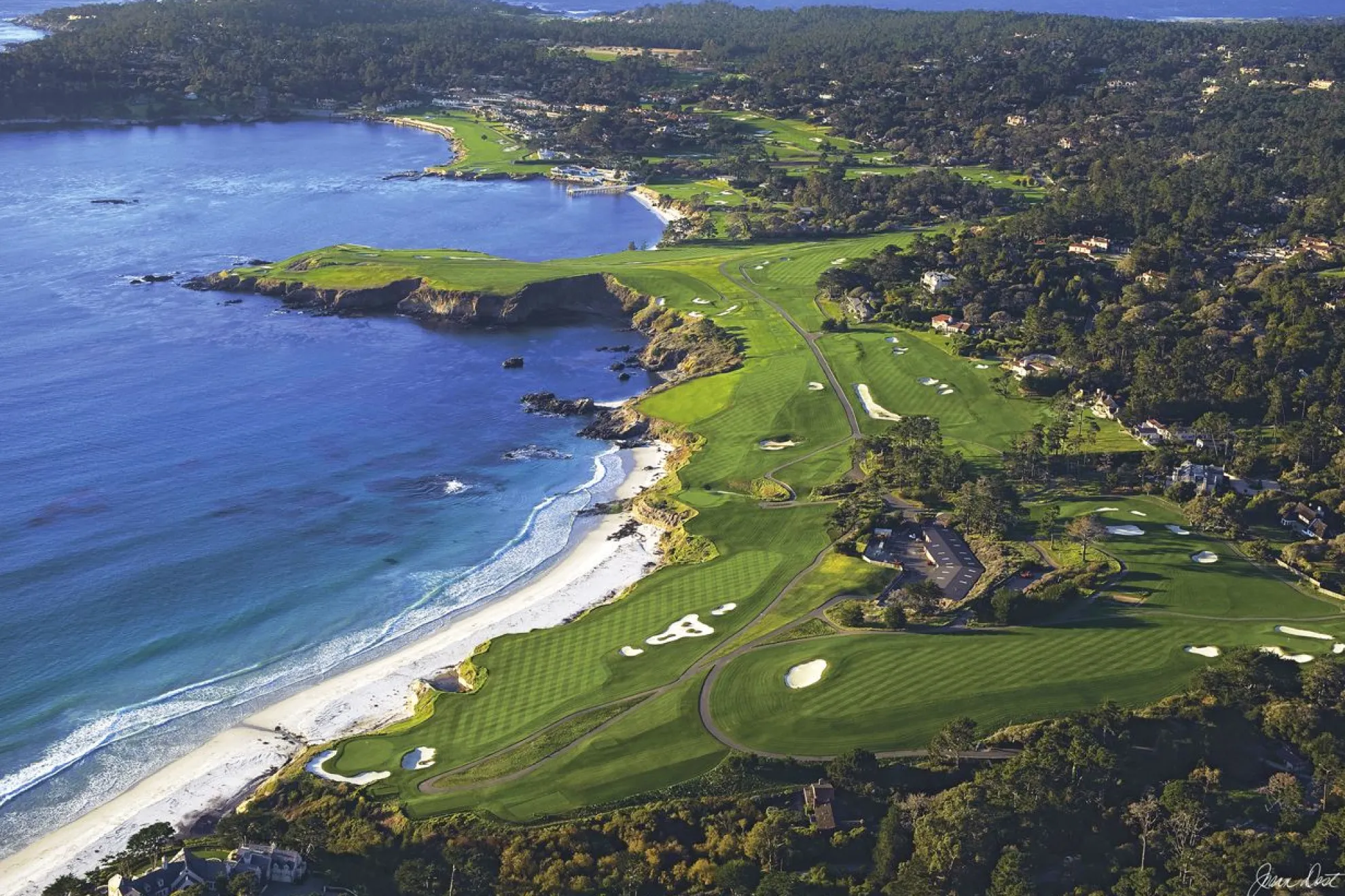 Soaring By Joann Dost -Metal Print