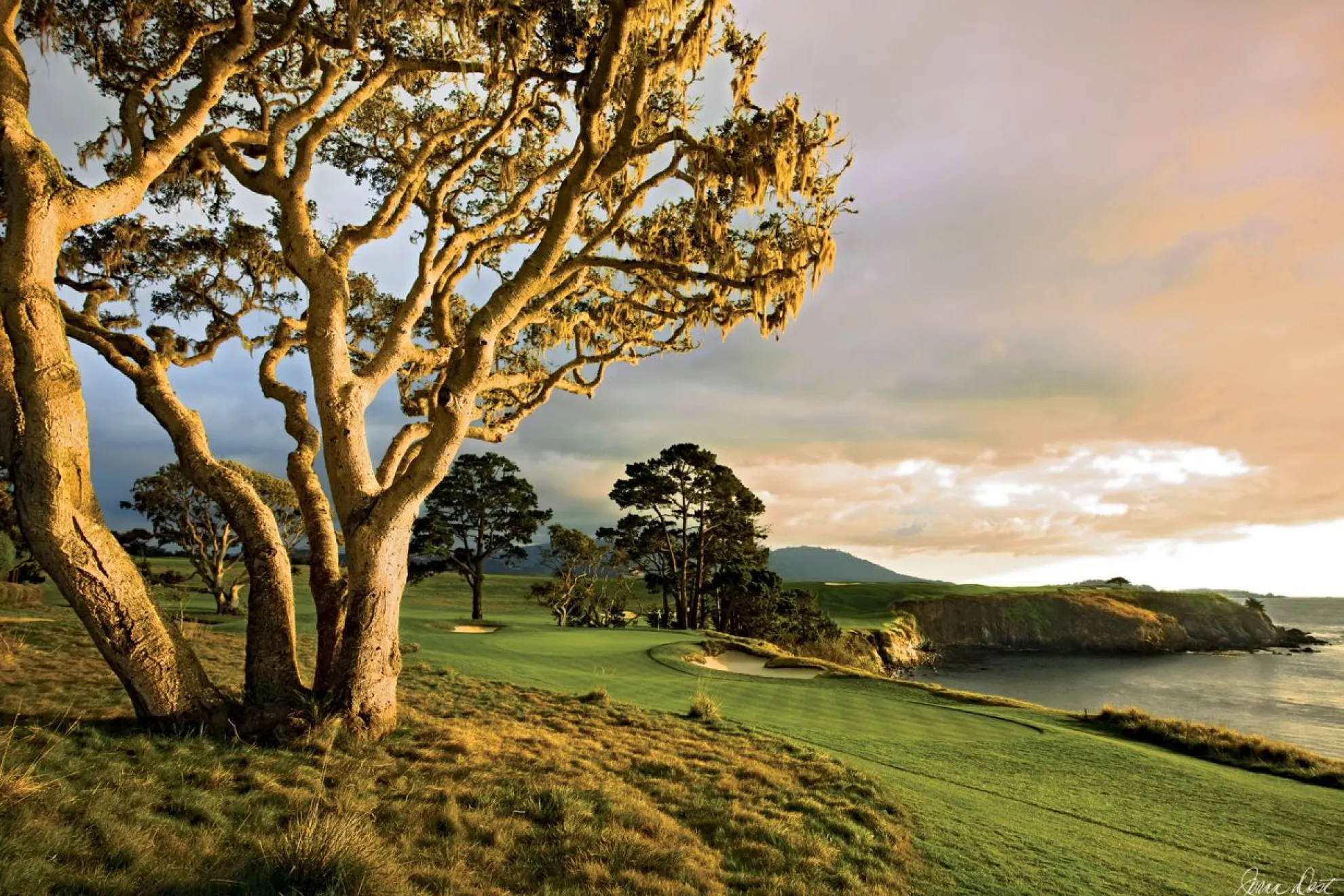 Quietude By Joann Dost -Metal Print